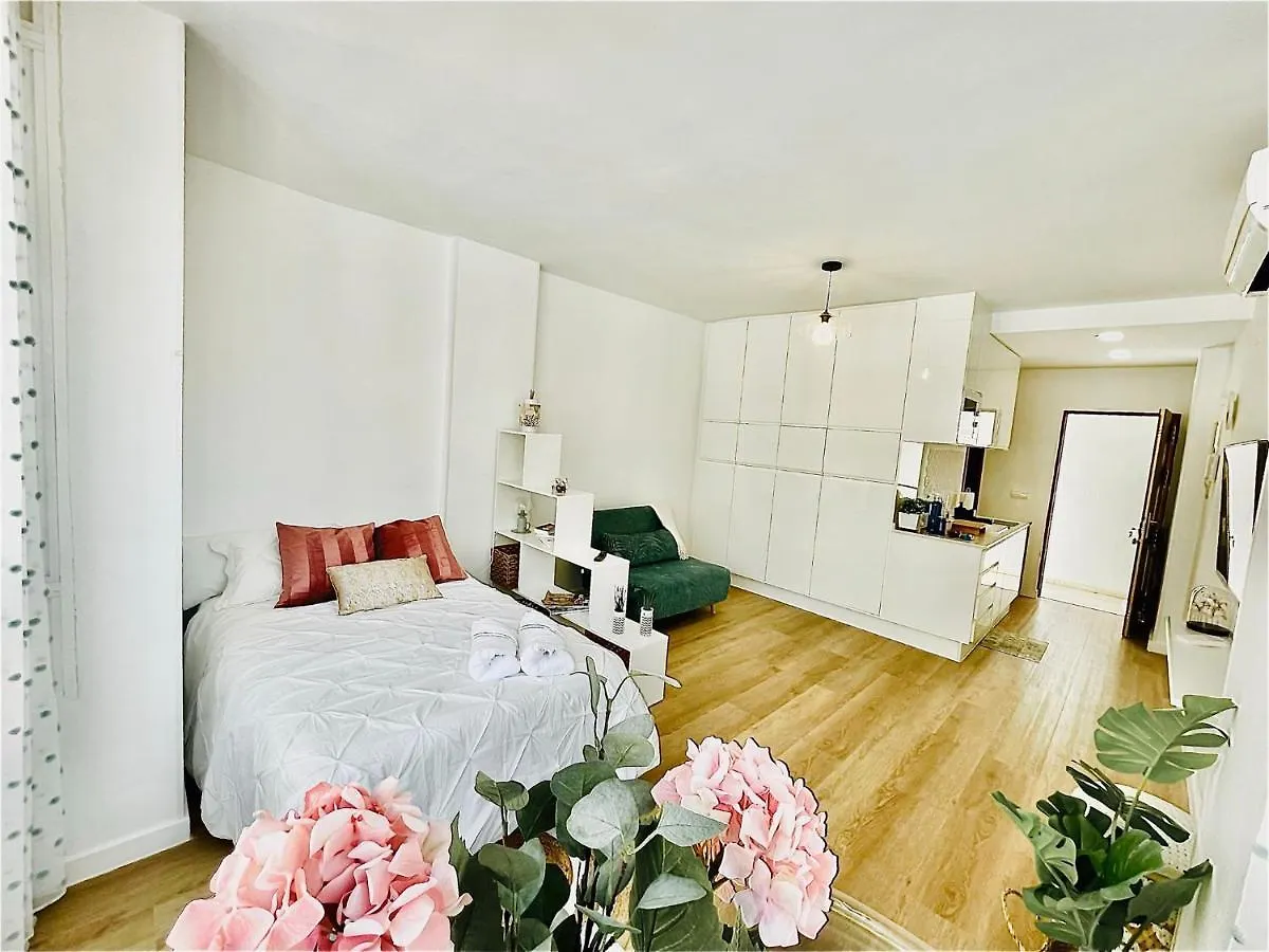 Luxury Loft With Pool In The Centre Apartment Torremolinos Spain